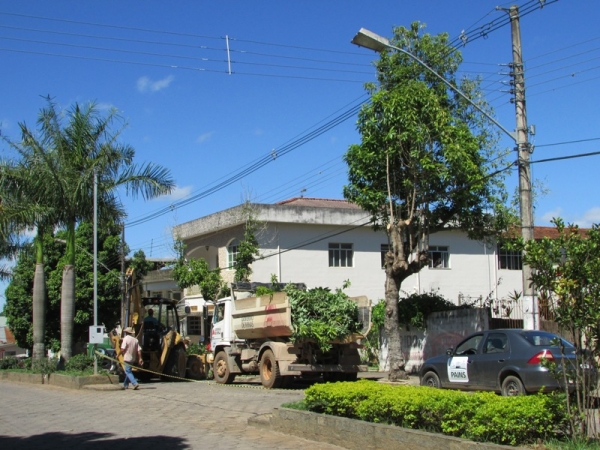 Prefeitura através da Secretaria de Meio Ambiente realiza poda de árvores