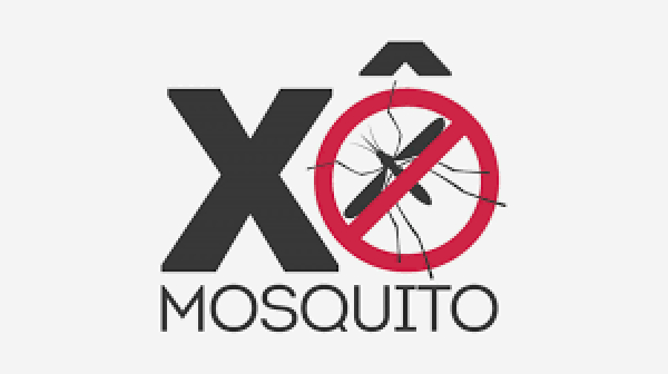 Cuidados devem ser redobrados para evitar proliferação do mosquito da dengue, no período de chuvas Foto: Divulgação