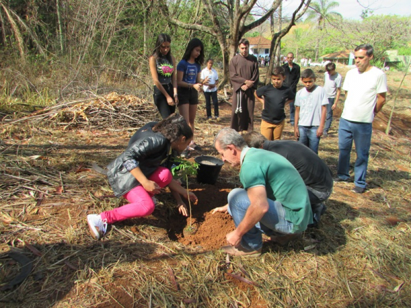 Prefeitura juntamente com parceiros realiza o plantio de árvores no Município