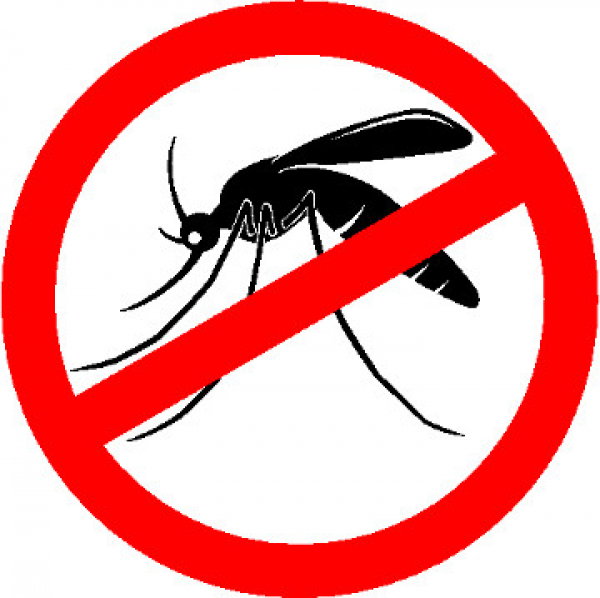 População tem papel importante no combate à dengue